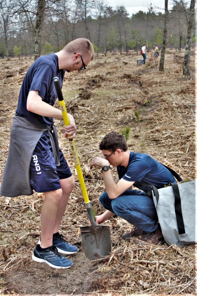 Thousands of trees planted in Fort McCoy training areas during week of Arbor Day
