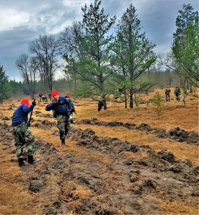 Thousands of trees planted in Fort McCoy training areas during week of Arbor Day