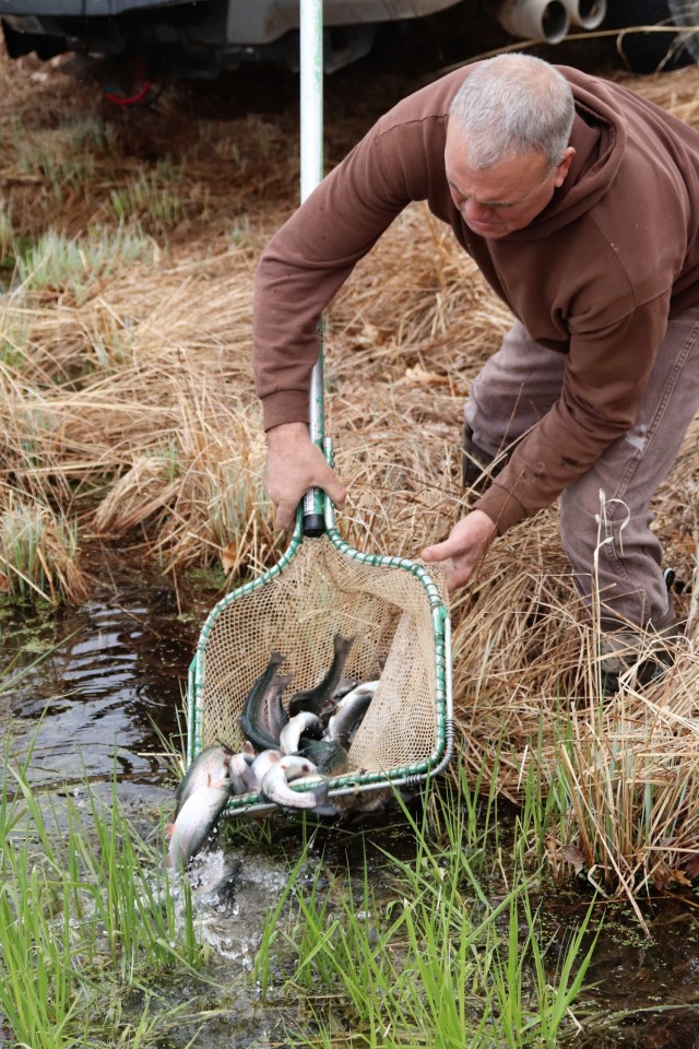 Thousands of rainbow trout stocked at Fort McCoy in time for 2022 fishing season