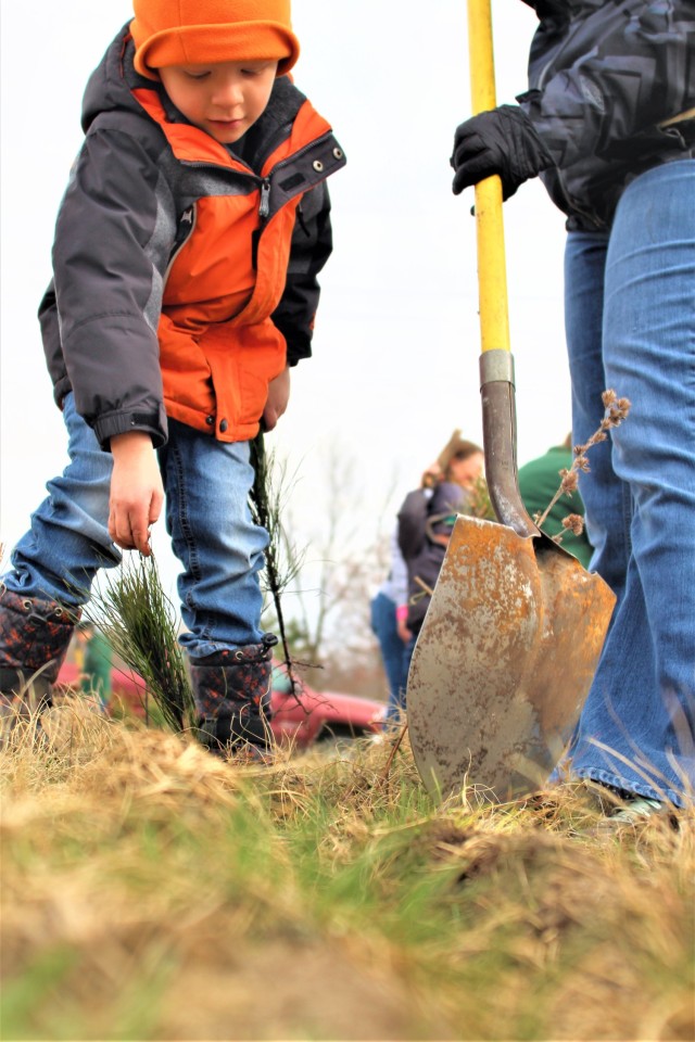 Thousands of trees planted in Fort McCoy training areas during week of Arbor Day