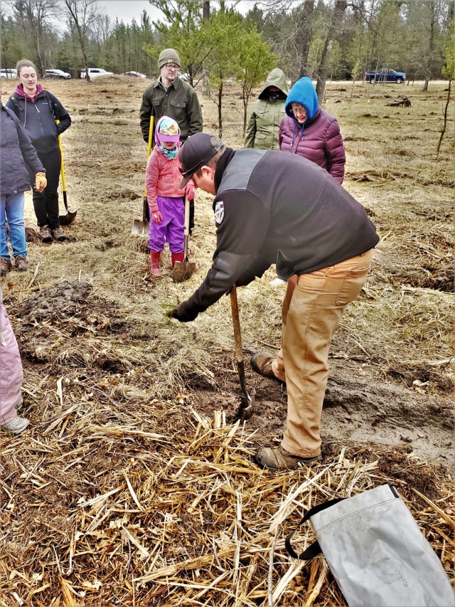 Thousands of trees planted in Fort McCoy training areas during week of Arbor Day