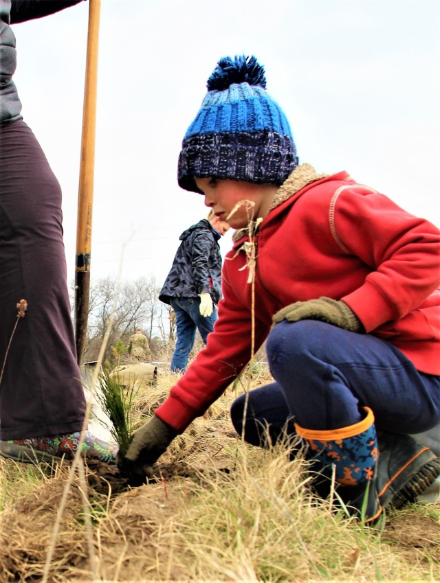 Thousands of trees planted in Fort McCoy training areas during week of Arbor Day