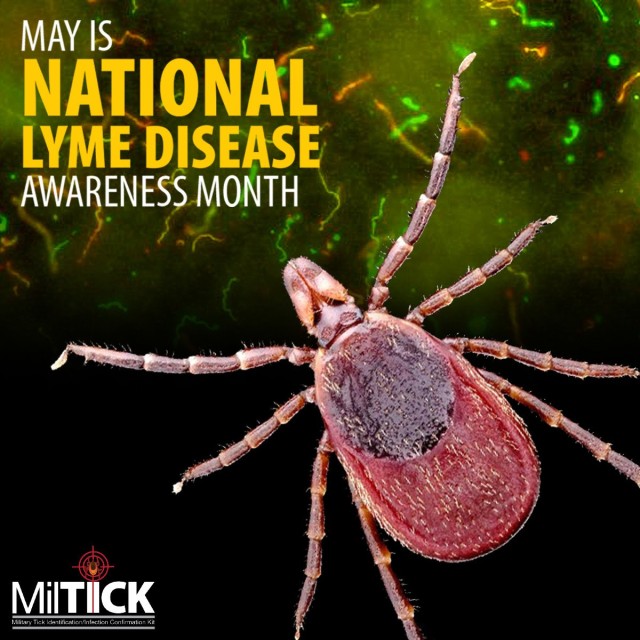 MilTICK program offers free tick testing, identification for all DOD personnel, beneficiaries