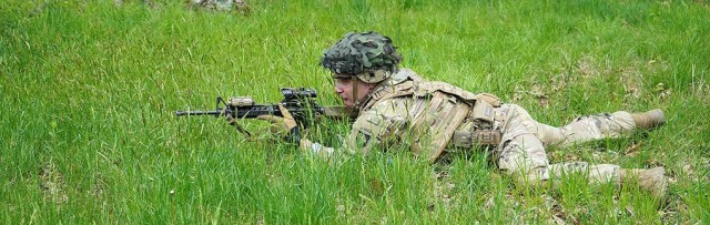 Task Force Leader training validation