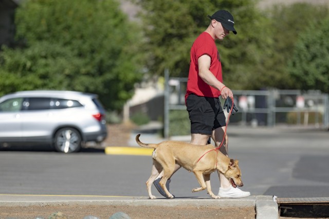Dog Duty: Bliss BOSS Soldiers volunteer with El Paso animal org 