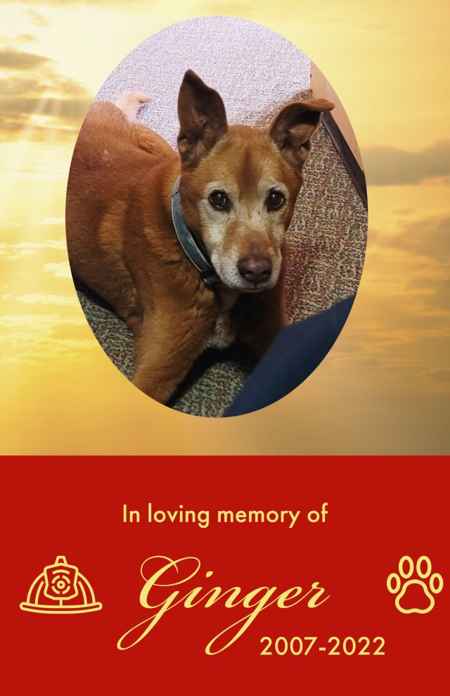 White Sands Missile Range firehouse dog passes away after 14 years of service