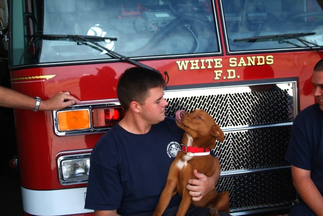 White Sands Missile Range firehouse dog passes away after 14 years of service