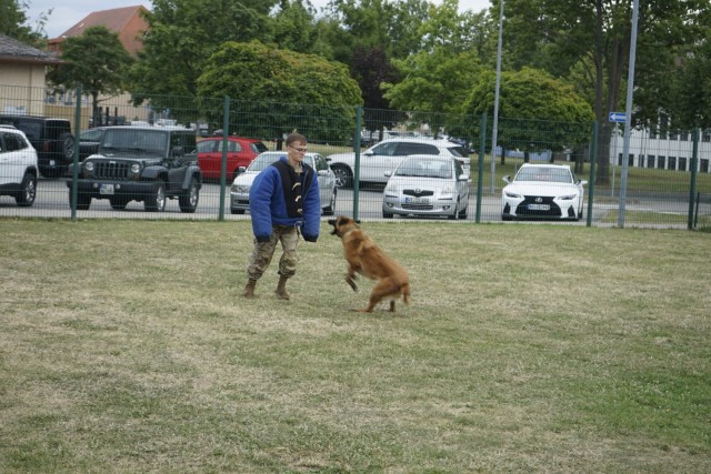 Military working dogs showcase Wiesbaden law enforcement's "secret weapon”
