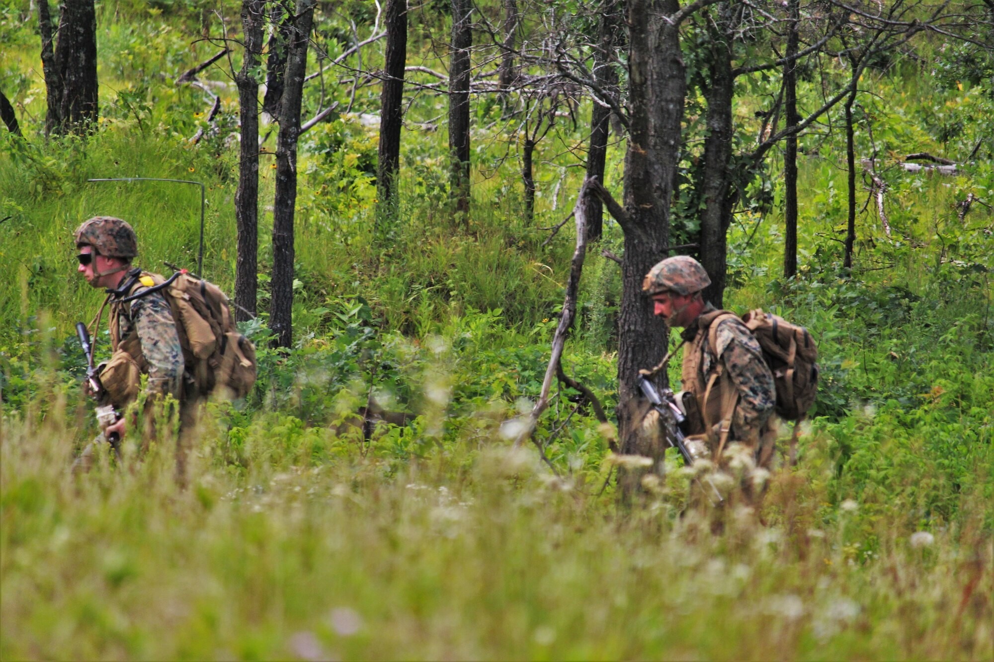 Photo Essay: 2nd Battalion, 24th Marines conduct 2022 training at Fort ...