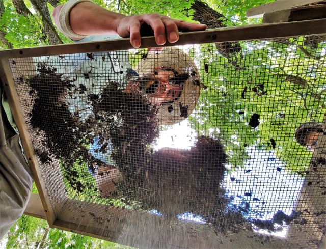 Archaeology team works on special survey on Fort McCoy&#39;s South Post