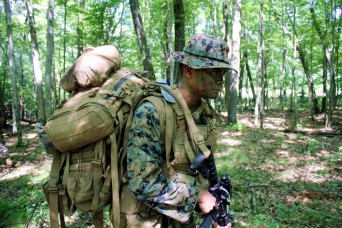 Photo Essay: 2nd Battalion, 24th Marines hold training ops at McCoy, Part II