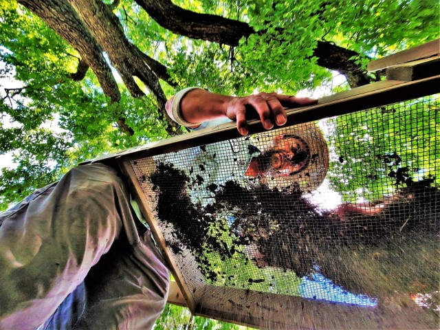 Archaeology team works on special survey on Fort McCoy&#39;s South Post
