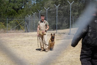 West Point Cadets visit Fort Hood working dog handlers