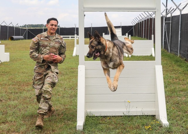 Military Working Dogs provide vital security support in Kosovo