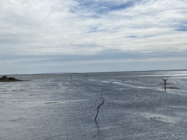 Restoring bird habitats while sustaining ours