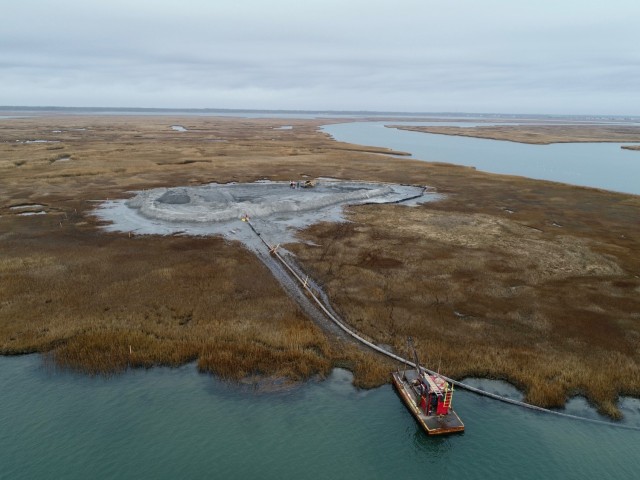 Restoring bird habitats while sustaining ours