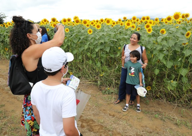 Itzu Roquecruz and her 6-year-old son, Beren, get their photo taken in front of a field of sunflowers during the Zama Sunflower Festival in Japan, Aug. 12, 2022. Camp Zama Army Community Service conducted a tour to the festival as part of its efforts to help community members learn about the local culture.