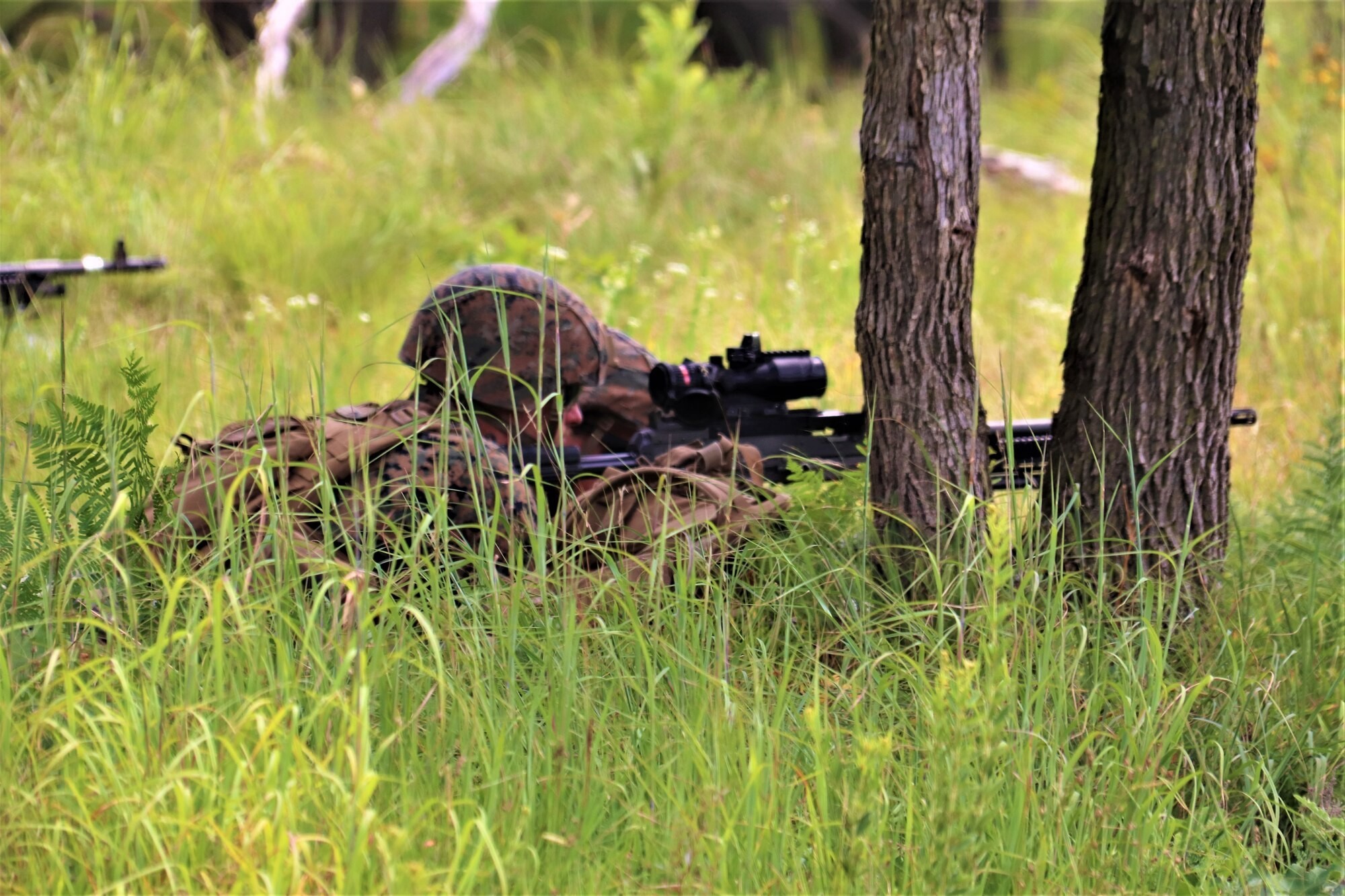 Photo Essay: 2nd Battalion, 24th Marines conduct 2022 training at Fort ...