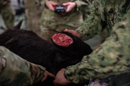 Army Medic with PTSD gets service dog at Giants game