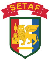 U.S. Army Southern European Task Force, Africa logo