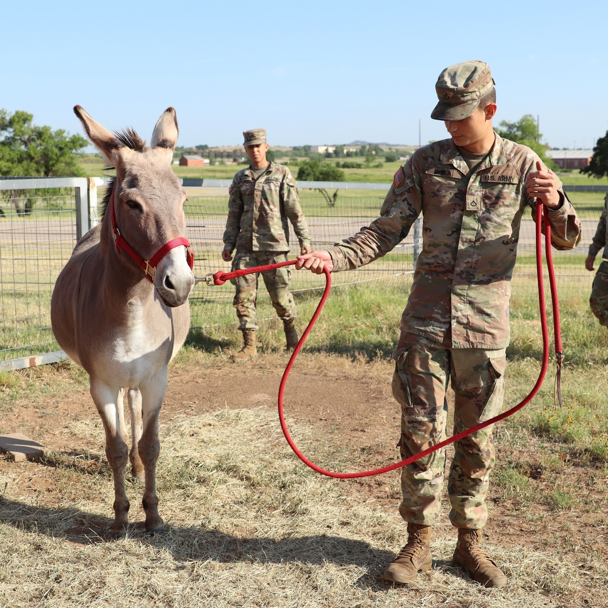 2nd Battalion, 2nd Field Artillery Regiment: A Photo Essay | Article ...