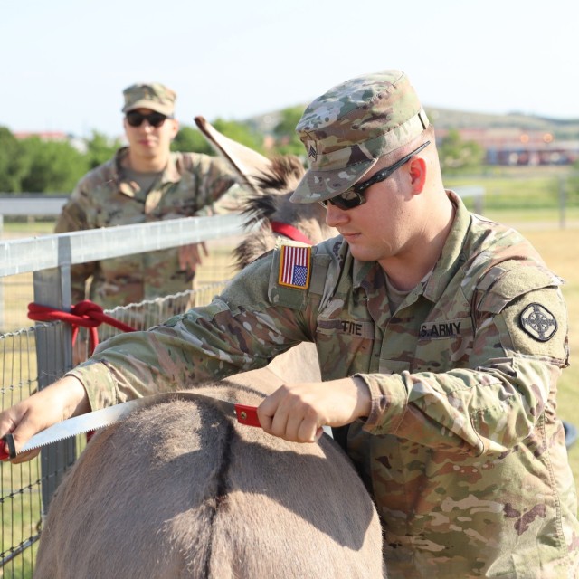 2nd Battalion, 2nd Field Artillery Regiment: A photo essay