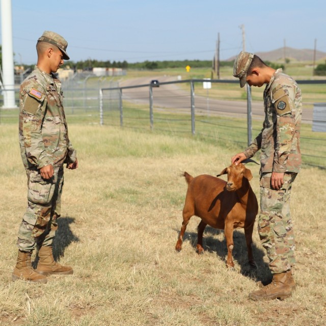 2nd Battalion, 2nd Field Artillery Regiment: A photo essay