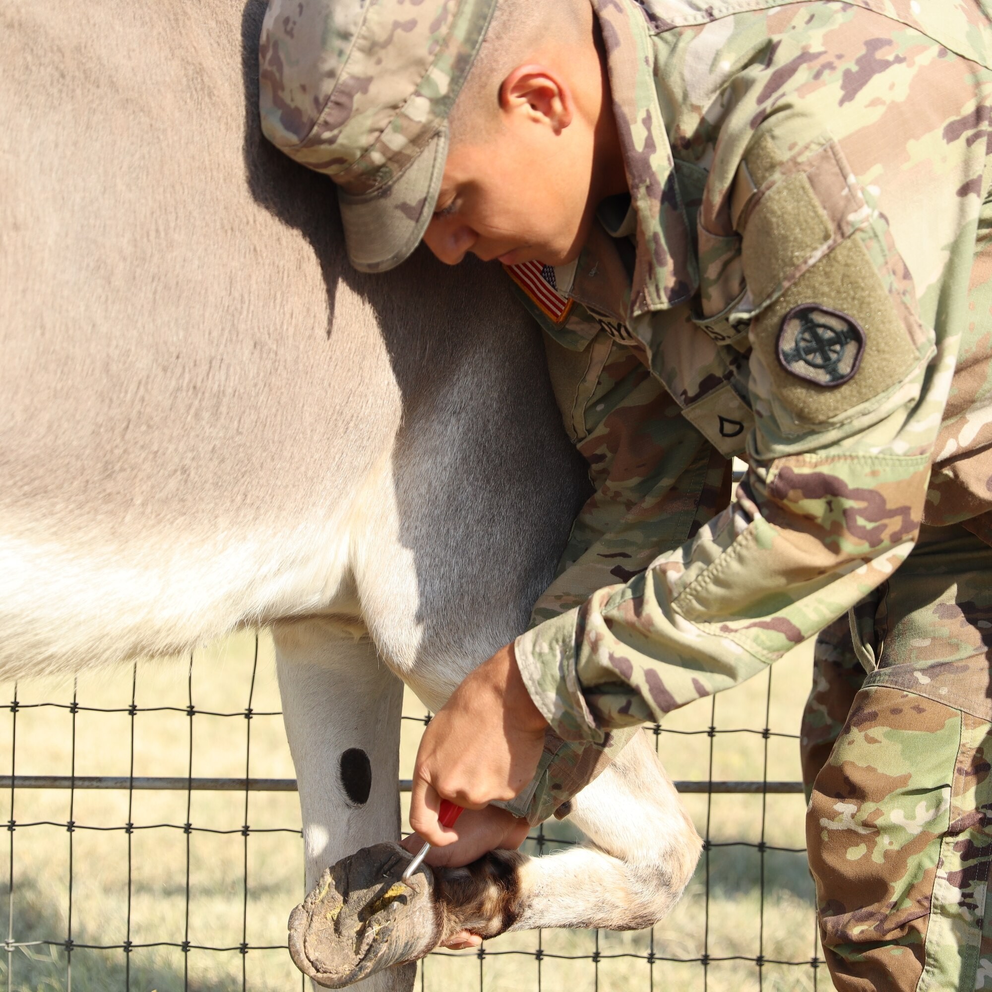 2nd Battalion, 2nd Field Artillery Regiment: A Photo Essay | Article ...