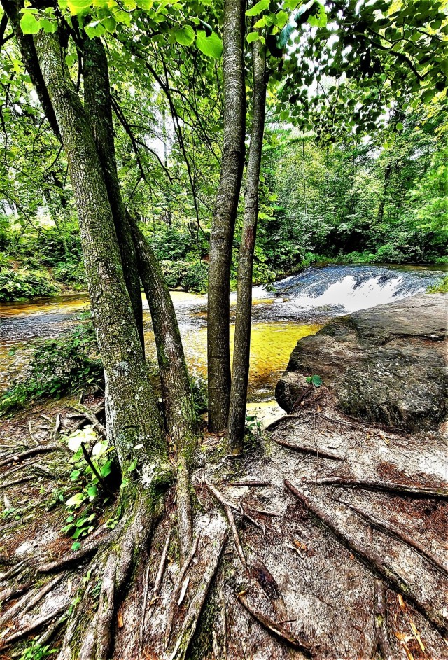 Photo Essay Trout Falls at Fort McCoy's Pine View Recreation Area