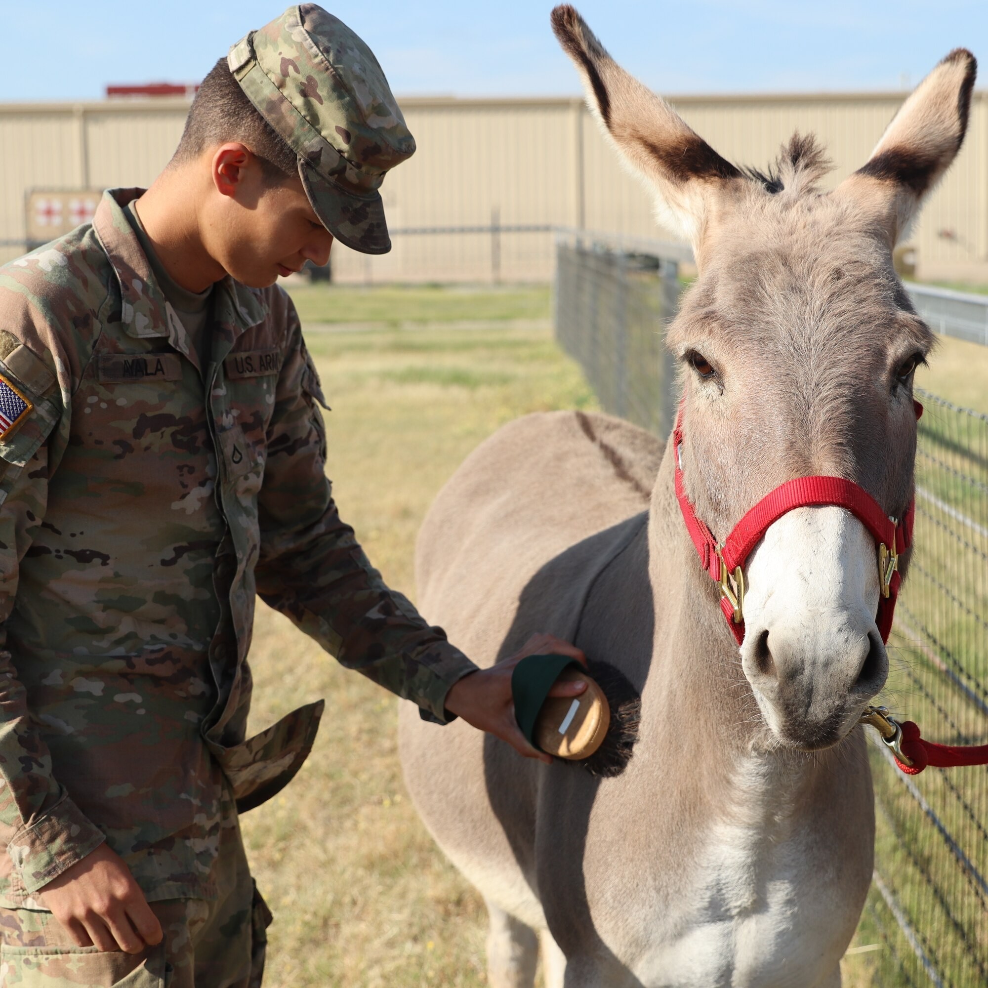 2nd Battalion, 2nd Field Artillery Regiment: A Photo Essay | Article ...