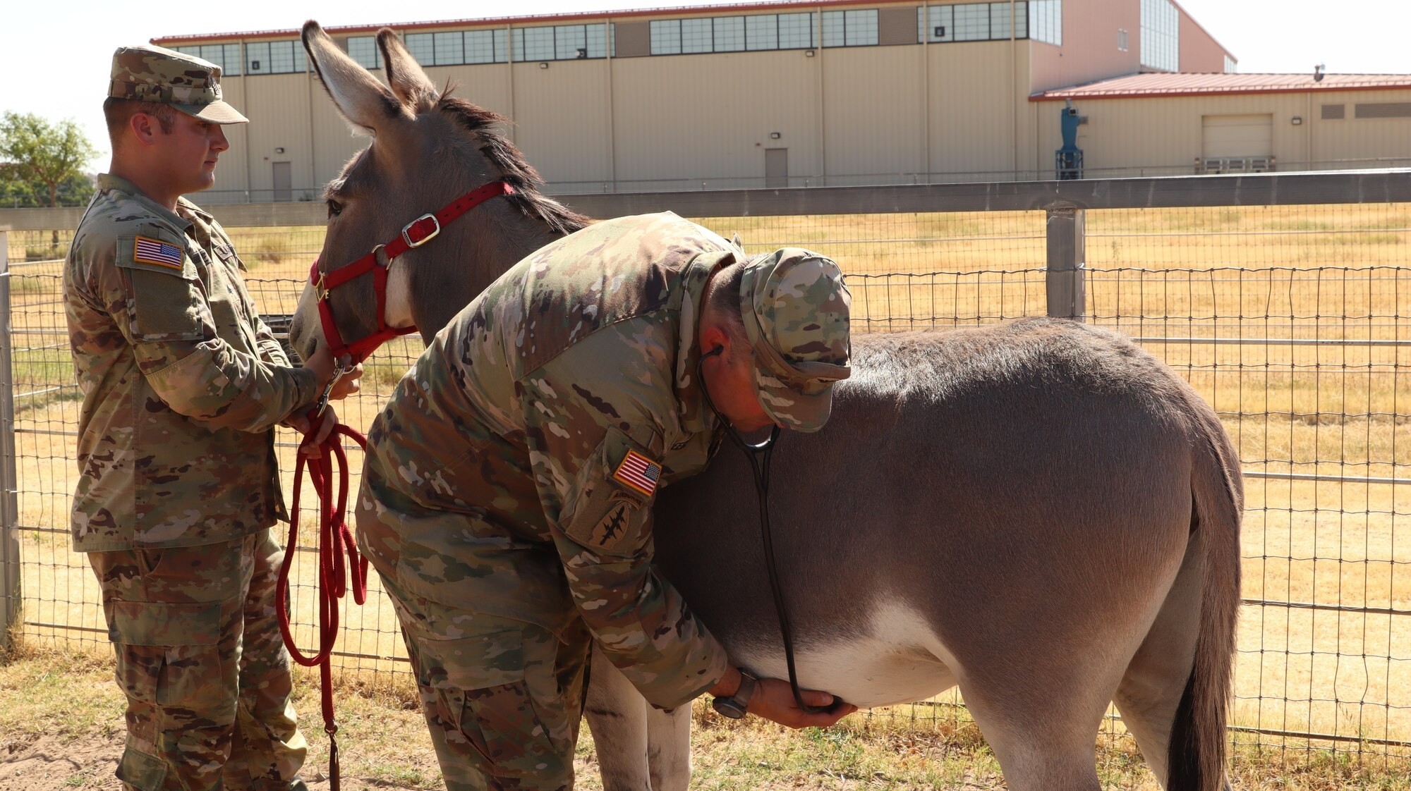 2nd Battalion, 2nd Field Artillery Regiment: A Photo Essay | Article ...