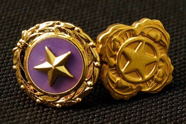 Gold Star Mother’s and Family’s Day