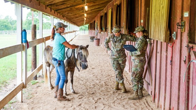 Equine task force that visited military installations across the United States