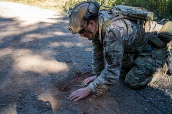 Multinational Ardent Defender Explosive Ordnance Disposal exercise concludes in Canada