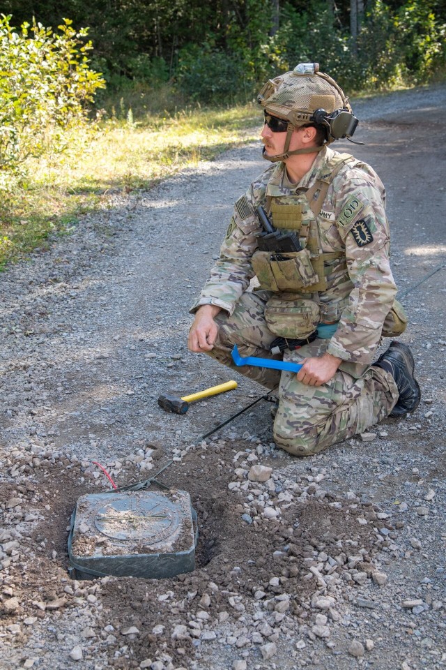 Exercise Ardent Defender
