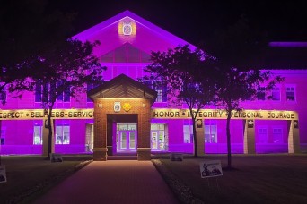 ‘Purple Up’ for Domestic Violence Awareness Month