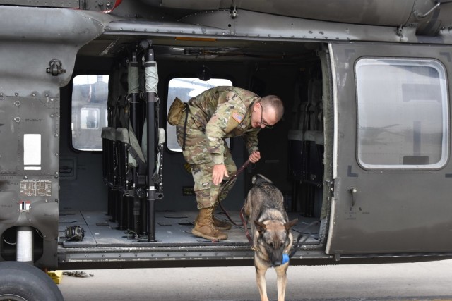 Military working dogs and their handlers receive medical evacuation training