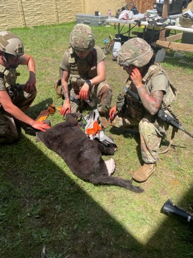 Handlers work as a team to treat a simulated injured MWD using canine Tactical Combat Casualty Care (K9C4) on the TACMED’s K9 Diesel mannequin.