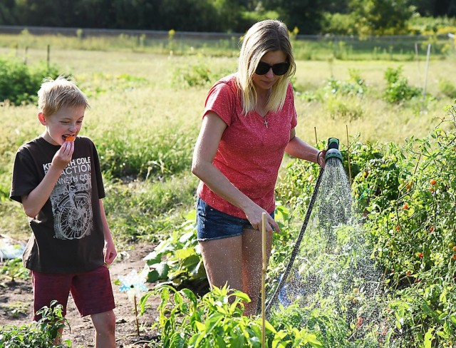 RIA community garden provides healthy, free food for FMWR patrons
