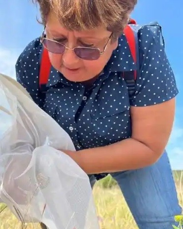 Catching a monarch