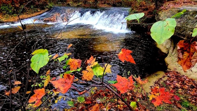 2022 Fall Colors at Trout Falls at Fort McCoy&#39;s Pine View Recreation Area