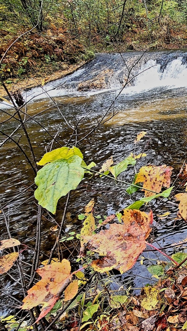 2022 Fall Colors at Trout Falls at Fort McCoy&#39;s Pine View Recreation Area