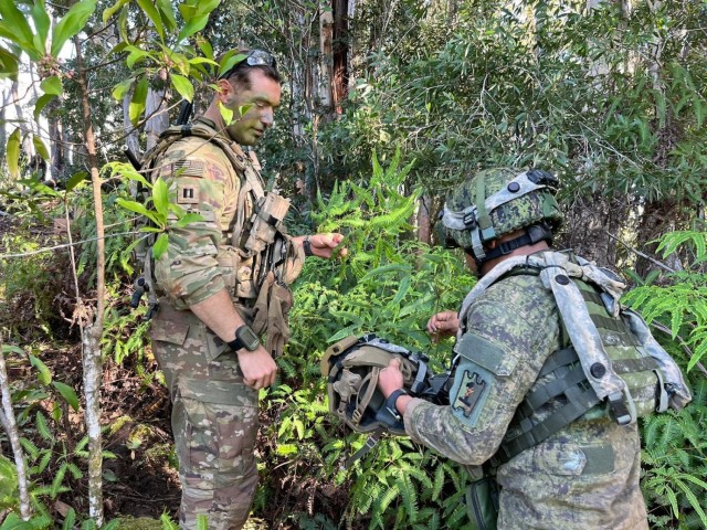 Philippine Army shares camouflaging techniques with SFAB Advisor