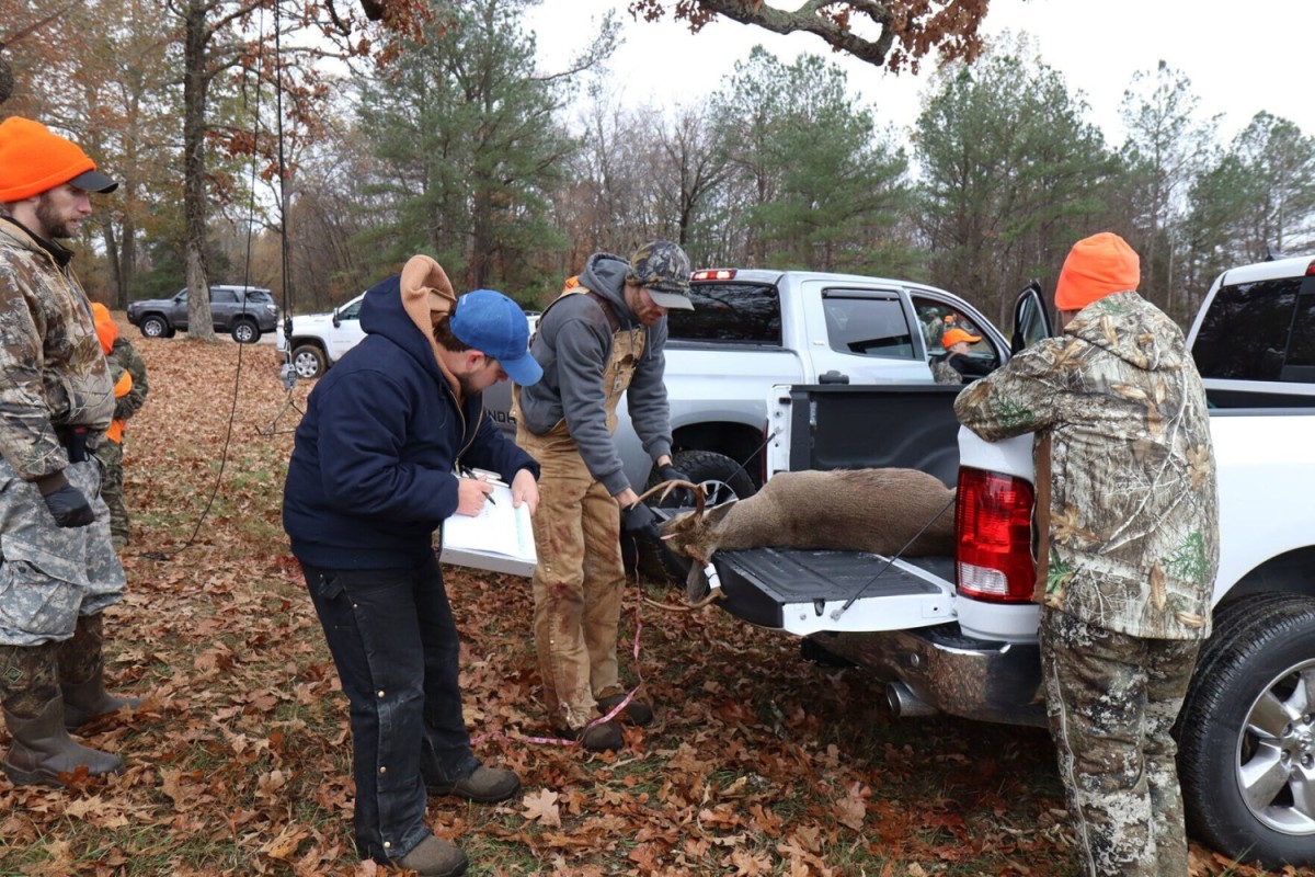 218 Youth Harvest 81 Deer During Fort Campbells Annual Hunt Article