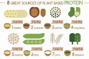 Getting protein from plants around the holidays