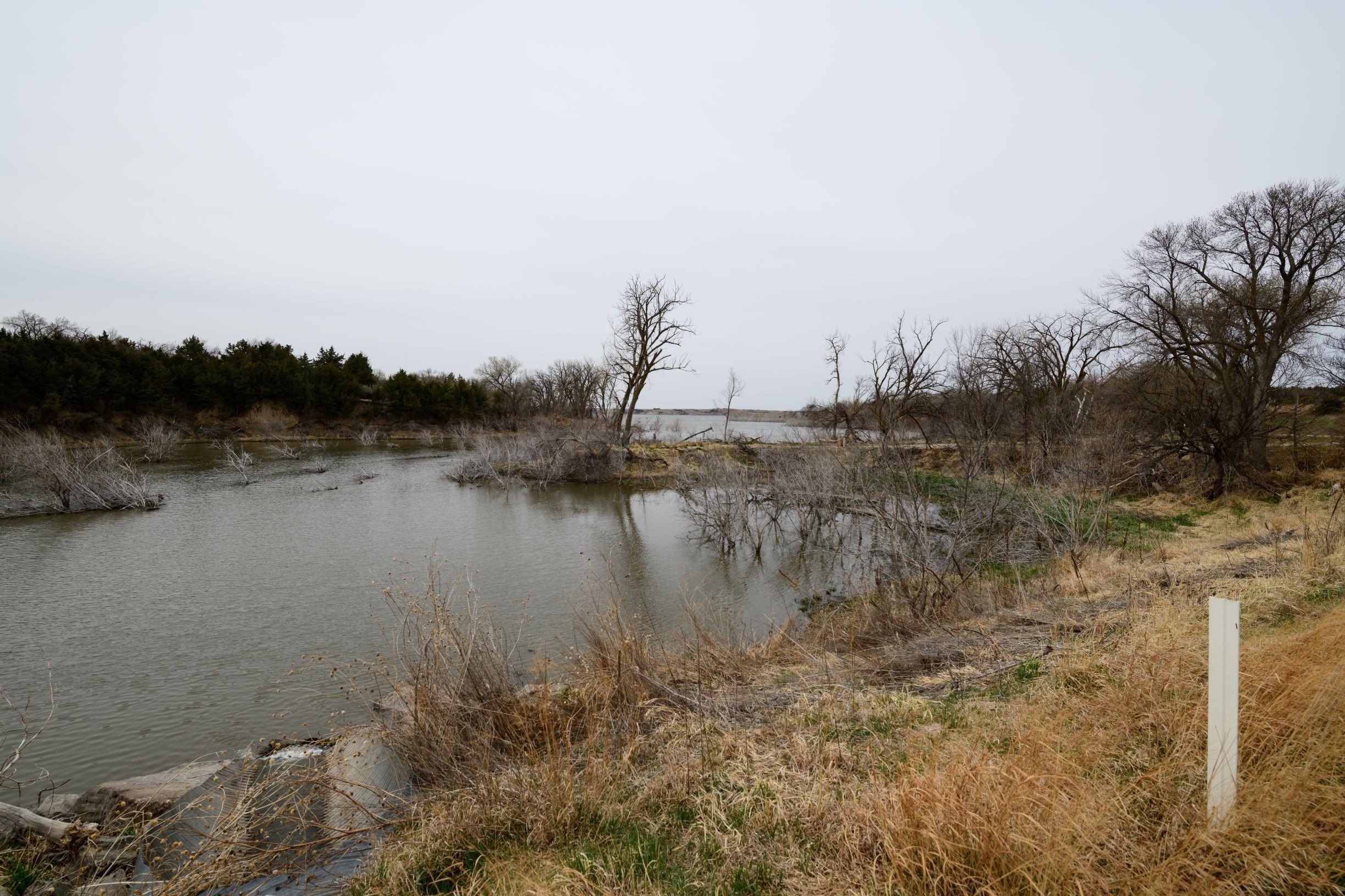 Partners to deliver an aquatic ecosystem restoration project at Harlan