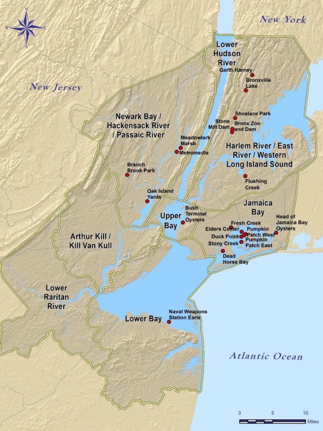 Restoring NY-NJ Estuary will create breathtaking views and more