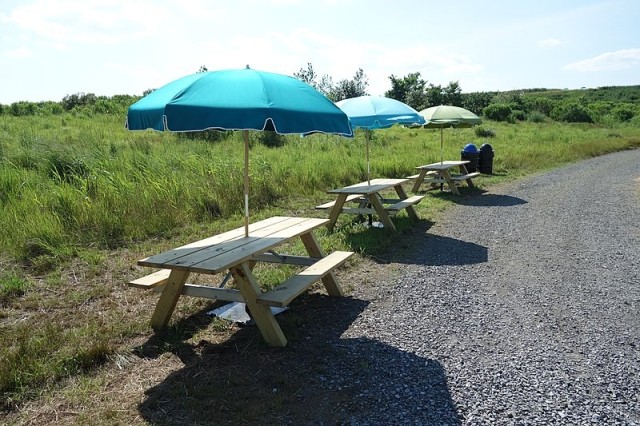 Restoring NY-NJ Estuary will create breathtaking views and more