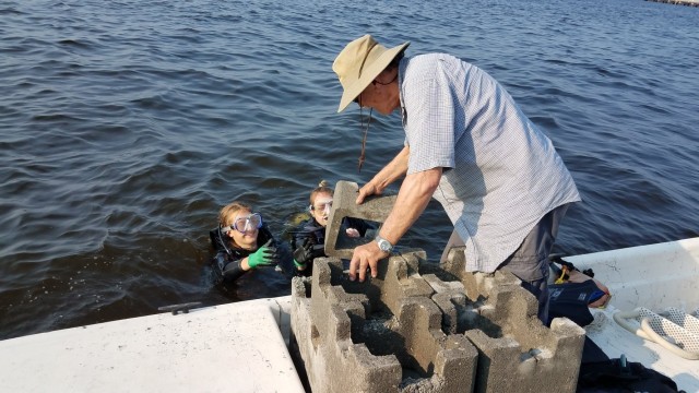 Restoring NY-NJ Estuary will create breathtaking views and more