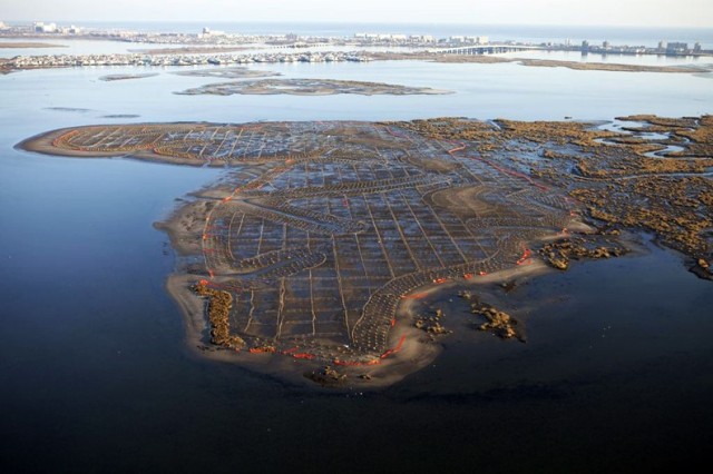 Restoring NY-NJ Estuary will create breathtaking views and more